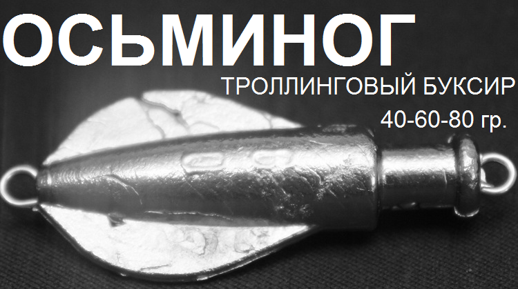 img-neprav-RazmerTrolOsminog2.png
